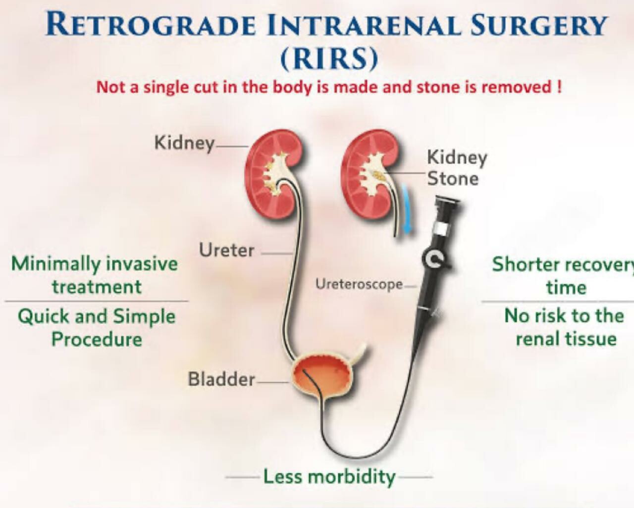Urozoone Holistic Kidney Care Clinic|Viman Nagar,Pune